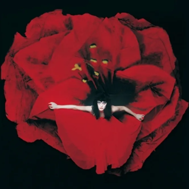 Hovedbilde SMASHING-PUMPKINS ADORE